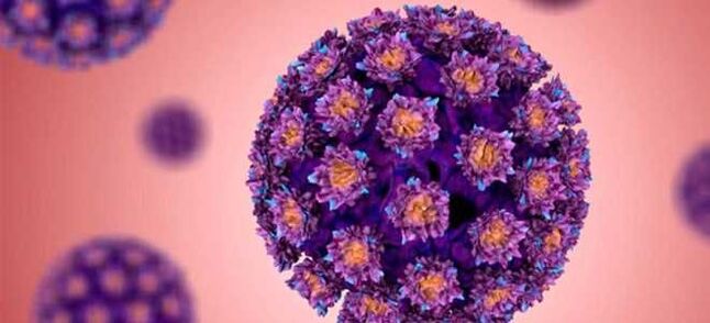 HPV - Մարդու պապիլոմավիրուս